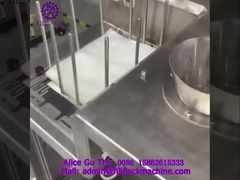 1910 J99 선형 봉지 공급 액체 채우고 밀폐 포장 기계