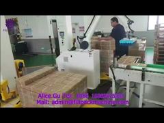 2078 P6 기계식 핸드 흡착 컵 팔레타이저-2