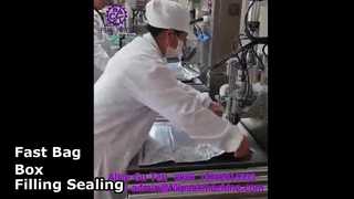 2108 L14 반자동 단일 헤드 Bag-in-Box 충진 및 밀봉 기계