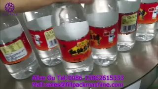 2267 M31 단순 핫멜트 라벨링 기계